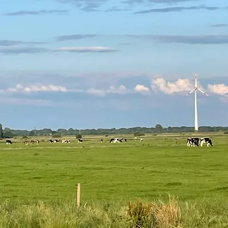 An Der Ems 75100 Westoverledingen