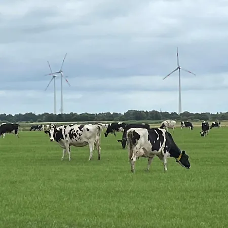 아파트 An Der Ems 75100 *